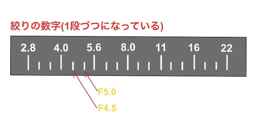 写真講座-3 絞り  初心者のための写真講座｜Hiro Photo